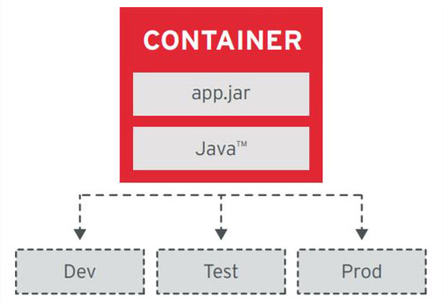 Key trends in software development – benefits for companies in 2019